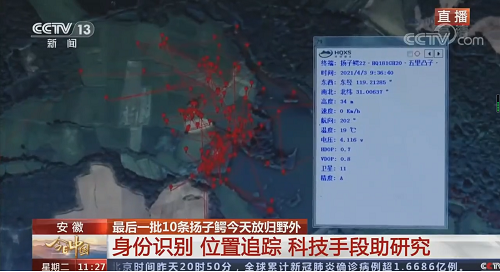 ¾ÅÖÝkuÓιÙÍø,ºþÄÏÒ°Éú¶¯Îï×·×Ù,ºþÄÏÎÀÐÇ×·×ÙÆ÷,ºþÄÏ×·×ÙÆ÷ ¾ÅÖÝkuÓιÙÍø,ºþÄÏÒ°Éú¶¯Îï×·×Ù,ºþÄÏÎÀÐÇ×·×ÙÆ÷,ºþÄÏ×·×ÙÆ÷