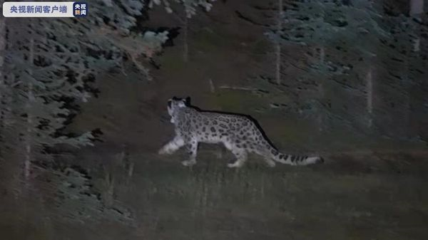 ¾ÅÖÝkuÓιÙÍø,ºþÄÏÒ°Éú¶¯Îï×·×Ù,ºþÄÏÎÀÐÇ×·×ÙÆ÷,ºþÄÏ×·×ÙÆ÷ ¾ÅÖÝkuÓιÙÍø,ºþÄÏÒ°Éú¶¯Îï×·×Ù,ºþÄÏÎÀÐÇ×·×ÙÆ÷,ºþÄÏ×·×ÙÆ÷