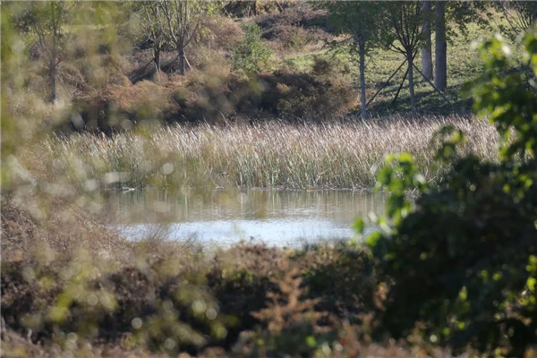 ¾ÅÖÝkuÓιÙÍø,ºþÄÏÒ°Éú¶¯Îï×·×Ù,ºþÄÏÎÀÐÇ×·×ÙÆ÷,ºþÄÏ×·×ÙÆ÷ ¾ÅÖÝkuÓιÙÍø,ºþÄÏÒ°Éú¶¯Îï×·×Ù,ºþÄÏÎÀÐÇ×·×ÙÆ÷,ºþÄÏ×·×ÙÆ÷