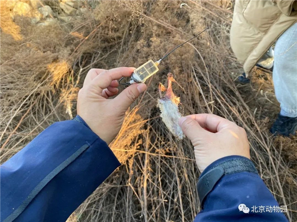 ¾ÅÖÝkuÓιÙÍø,ºþÄÏÒ°Éú¶¯Îï×·×Ù,ºþÄÏÎÀÐÇ×·×ÙÆ÷,ºþÄÏ×·×ÙÆ÷ ¾ÅÖÝkuÓιÙÍø,ºþÄÏÒ°Éú¶¯Îï×·×Ù,ºþÄÏÎÀÐÇ×·×ÙÆ÷,ºþÄÏ×·×ÙÆ÷