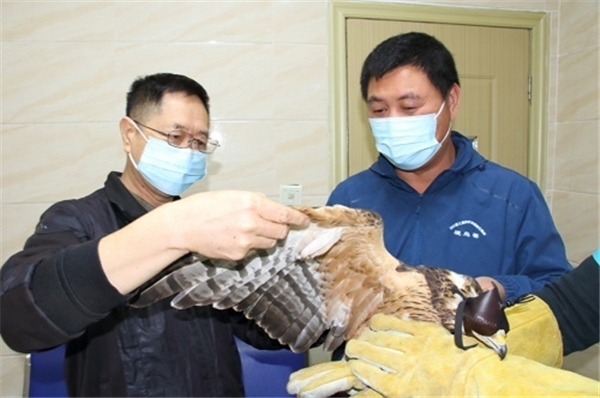 ¾ÅÖÝkuÓιÙÍø,ºþÄÏÒ°Éú¶¯Îï×·×Ù,ºþÄÏÎÀÐÇ×·×ÙÆ÷,ºþÄÏ×·×ÙÆ÷ ¾ÅÖÝkuÓιÙÍø,ºþÄÏÒ°Éú¶¯Îï×·×Ù,ºþÄÏÎÀÐÇ×·×ÙÆ÷,ºþÄÏ×·×ÙÆ÷