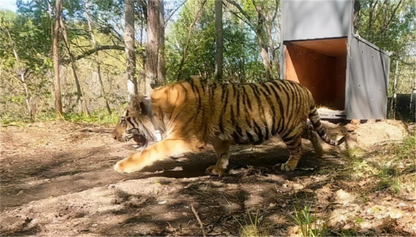 ¾ÅÖÝkuÓιÙÍø,ºþÄÏÒ°Éú¶¯Îï×·×Ù,ºþÄÏÎÀÐÇ×·×ÙÆ÷,ºþÄÏ×·×ÙÆ÷ ¾ÅÖÝkuÓιÙÍø,ºþÄÏÒ°Éú¶¯Îï×·×Ù,ºþÄÏÎÀÐÇ×·×ÙÆ÷,ºþÄÏ×·×ÙÆ÷