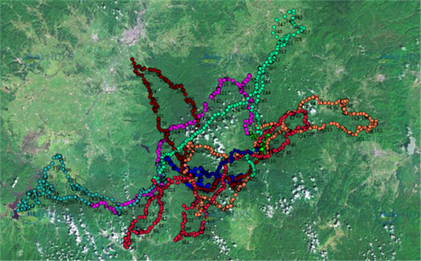 ¾ÅÖÝkuÓιÙÍø,ºþÄÏÒ°Éú¶¯Îï×·×Ù,ºþÄÏÎÀÐÇ×·×ÙÆ÷,ºþÄÏ×·×ÙÆ÷ ¾ÅÖÝkuÓιÙÍø,ºþÄÏÒ°Éú¶¯Îï×·×Ù,ºþÄÏÎÀÐÇ×·×ÙÆ÷,ºþÄÏ×·×ÙÆ÷