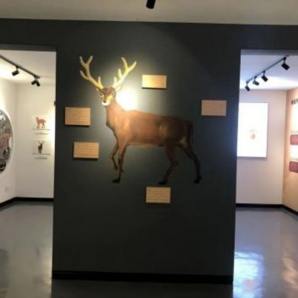 ¾ÅÖÝkuÓιÙÍø,ºþÄÏÒ°Éú¶¯Îï×·×Ù,ºþÄÏÎÀÐÇ×·×ÙÆ÷,ºþÄÏ×·×ÙÆ÷ ¾ÅÖÝkuÓιÙÍø,ºþÄÏÒ°Éú¶¯Îï×·×Ù,ºþÄÏÎÀÐÇ×·×ÙÆ÷,ºþÄÏ×·×ÙÆ÷