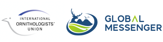 ¾ÅÖÝkuÓιÙÍø,ºþÄÏÒ°Éú¶¯Îï×·×Ù,ºþÄÏÎÀÐÇ×·×ÙÆ÷,ºþÄÏ×·×ÙÆ÷ ¾ÅÖÝkuÓιÙÍø,ºþÄÏÒ°Éú¶¯Îï×·×Ù,ºþÄÏÎÀÐÇ×·×ÙÆ÷,ºþÄÏ×·×ÙÆ÷