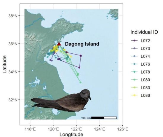 ¾ÅÖÝkuÓιÙÍø,ºþÄÏÒ°Éú¶¯Îï×·×Ù,ºþÄÏÎÀÐÇ×·×ÙÆ÷,ºþÄÏ×·×ÙÆ÷ ¾ÅÖÝkuÓιÙÍø,ºþÄÏÒ°Éú¶¯Îï×·×Ù,ºþÄÏÎÀÐÇ×·×ÙÆ÷,ºþÄÏ×·×ÙÆ÷