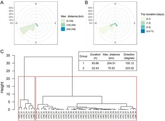 ¾ÅÖÝkuÓιÙÍø,ºþÄÏÒ°Éú¶¯Îï×·×Ù,ºþÄÏÎÀÐÇ×·×ÙÆ÷,ºþÄÏ×·×ÙÆ÷ ¾ÅÖÝkuÓιÙÍø,ºþÄÏÒ°Éú¶¯Îï×·×Ù,ºþÄÏÎÀÐÇ×·×ÙÆ÷,ºþÄÏ×·×ÙÆ÷