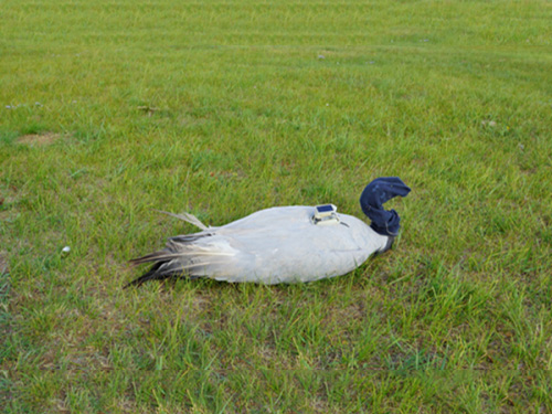 2016Äê5ÔÂËòÓðº××·×Ù 2016Äê5ÔÂËòÓðº××·×Ù