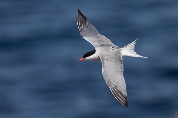 kuιЯְ¶Űо׷ͨŸ