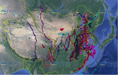 ¾ÅÖÝkuÓιÙÍø,ºþÄÏÒ°Éú¶¯Îï×·×Ù,ºþÄÏÎÀÐÇ×·×ÙÆ÷,ºþÄÏ×·×ÙÆ÷ ¾ÅÖÝkuÓιÙÍø,ºþÄÏÒ°Éú¶¯Îï×·×Ù,ºþÄÏÎÀÐÇ×·×ÙÆ÷,ºþÄÏ×·×ÙÆ÷