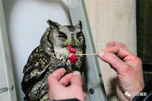 ¾ÅÖÝkuÓιÙÍø,ºþÄÏÒ°Éú¶¯Îï×·×Ù,ºþÄÏÎÀÐÇ×·×ÙÆ÷,ºþÄÏ×·×ÙÆ÷ ¾ÅÖÝkuÓιÙÍø,ºþÄÏÒ°Éú¶¯Îï×·×Ù,ºþÄÏÎÀÐÇ×·×ÙÆ÷,ºþÄÏ×·×ÙÆ÷