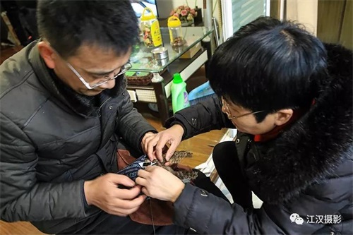 ¾ÅÖÝkuÓιÙÍø,ºþÄÏÒ°Éú¶¯Îï×·×Ù,ºþÄÏÎÀÐÇ×·×ÙÆ÷,ºþÄÏ×·×ÙÆ÷ ¾ÅÖÝkuÓιÙÍø,ºþÄÏÒ°Éú¶¯Îï×·×Ù,ºþÄÏÎÀÐÇ×·×ÙÆ÷,ºþÄÏ×·×ÙÆ÷