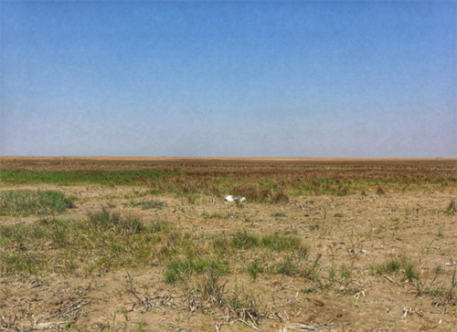 ¾ÅÖÝkuÓιÙÍø,ºþÄÏÒ°Éú¶¯Îï×·×Ù,ºþÄÏÎÀÐÇ×·×ÙÆ÷,ºþÄÏ×·×ÙÆ÷ ¾ÅÖÝkuÓιÙÍø,ºþÄÏÒ°Éú¶¯Îï×·×Ù,ºþÄÏÎÀÐÇ×·×ÙÆ÷,ºþÄÏ×·×ÙÆ÷