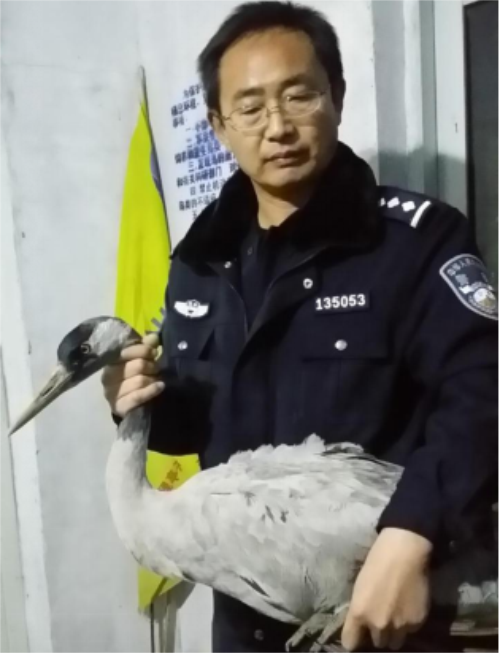 ¾ÅÖÝkuÓιÙÍø,ºþÄÏÒ°Éú¶¯Îï×·×Ù,ºþÄÏÎÀÐÇ×·×ÙÆ÷,ºþÄÏ×·×ÙÆ÷ ¾ÅÖÝkuÓιÙÍø,ºþÄÏÒ°Éú¶¯Îï×·×Ù,ºþÄÏÎÀÐÇ×·×ÙÆ÷,ºþÄÏ×·×ÙÆ÷