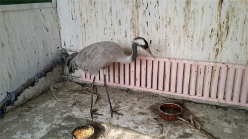 ¾ÅÖÝkuÓιÙÍø,ºþÄÏÒ°Éú¶¯Îï×·×Ù,ºþÄÏÎÀÐÇ×·×ÙÆ÷,ºþÄÏ×·×ÙÆ÷ ¾ÅÖÝkuÓιÙÍø,ºþÄÏÒ°Éú¶¯Îï×·×Ù,ºþÄÏÎÀÐÇ×·×ÙÆ÷,ºþÄÏ×·×ÙÆ÷