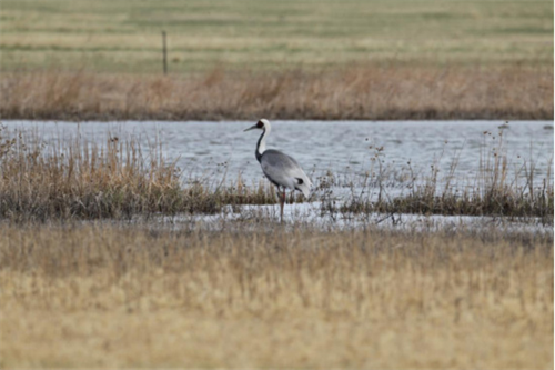 ¾ÅÖÝkuÓιÙÍø,ºþÄÏÒ°Éú¶¯Îï×·×Ù,ºþÄÏÎÀÐÇ×·×ÙÆ÷,ºþÄÏ×·×ÙÆ÷ ¾ÅÖÝkuÓιÙÍø,ºþÄÏÒ°Éú¶¯Îï×·×Ù,ºþÄÏÎÀÐÇ×·×ÙÆ÷,ºþÄÏ×·×ÙÆ÷