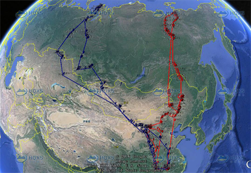 ¾ÅÖÝkuÓιÙÍø,ºþÄÏÒ°Éú¶¯Îï×·×Ù,ºþÄÏÎÀÐÇ×·×ÙÆ÷,ºþÄÏ×·×ÙÆ÷ ¾ÅÖÝkuÓιÙÍø,ºþÄÏÒ°Éú¶¯Îï×·×Ù,ºþÄÏÎÀÐÇ×·×ÙÆ÷,ºþÄÏ×·×ÙÆ÷