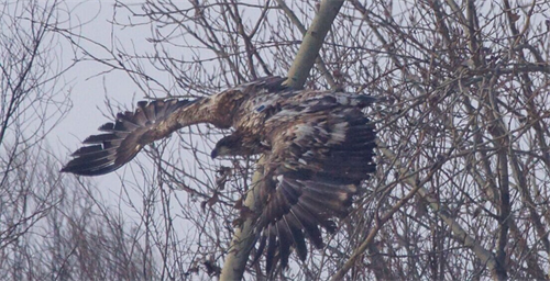 ¾ÅÖÝkuÓιÙÍø,ºþÄÏÒ°Éú¶¯Îï×·×Ù,ºþÄÏÎÀÐÇ×·×ÙÆ÷,ºþÄÏ×·×ÙÆ÷ ¾ÅÖÝkuÓιÙÍø,ºþÄÏÒ°Éú¶¯Îï×·×Ù,ºþÄÏÎÀÐÇ×·×ÙÆ÷,ºþÄÏ×·×ÙÆ÷