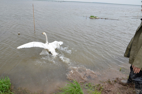 ¾ÅÖÝkuÓιÙÍø,ºþÄÏÒ°Éú¶¯Îï×·×Ù,ºþÄÏÎÀÐÇ×·×ÙÆ÷,ºþÄÏ×·×ÙÆ÷ ¾ÅÖÝkuÓιÙÍø,ºþÄÏÒ°Éú¶¯Îï×·×Ù,ºþÄÏÎÀÐÇ×·×ÙÆ÷,ºþÄÏ×·×ÙÆ÷