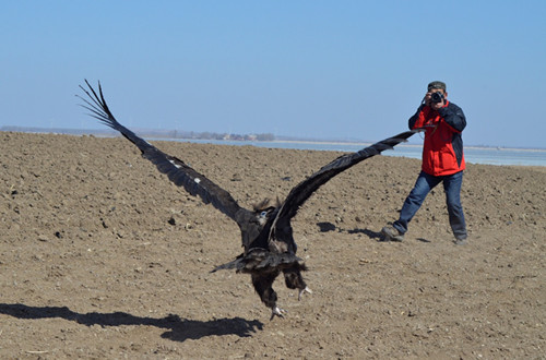 ¾ÅÖÝkuÓιÙÍø,ºþÄÏÒ°Éú¶¯Îï×·×Ù,ºþÄÏÎÀÐÇ×·×ÙÆ÷,ºþÄÏ×·×ÙÆ÷ ¾ÅÖÝkuÓιÙÍø,ºþÄÏÒ°Éú¶¯Îï×·×Ù,ºþÄÏÎÀÐÇ×·×ÙÆ÷,ºþÄÏ×·×ÙÆ÷