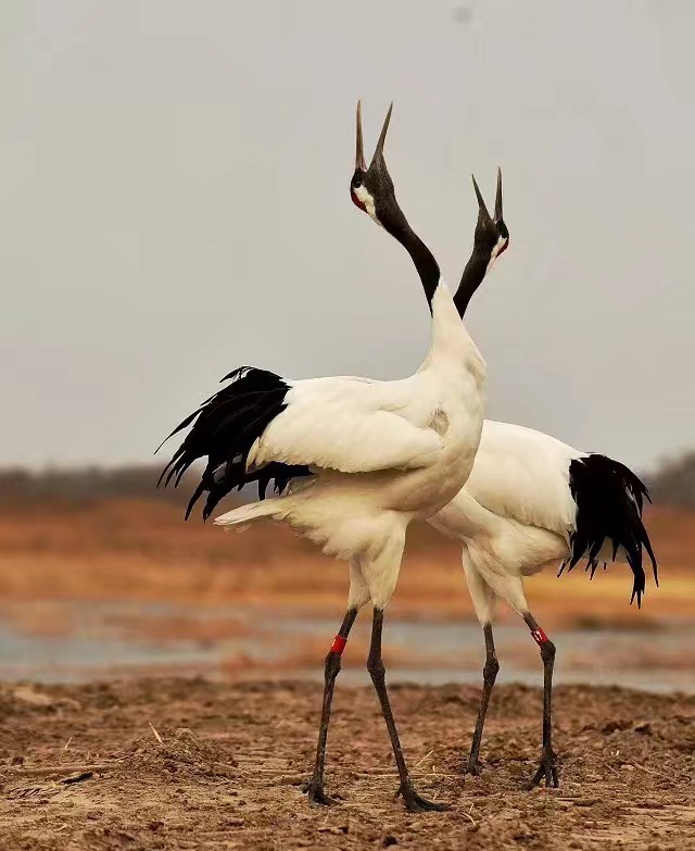 Ͳ,Ͳ,Ͳ,ʱ,,ͲǮ,Ͳ,Ͳ