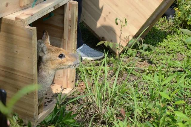 Ͳ,Ͳ,Ͳ,ʱ,,ͲǮ,Ͳ,Ͳ