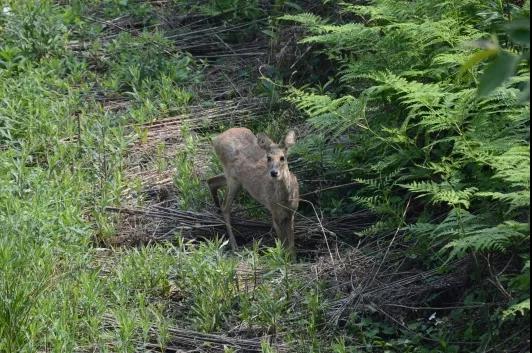 Ͳ,Ͳ,Ͳ,ʱ,,ͲǮ,Ͳ,Ͳ