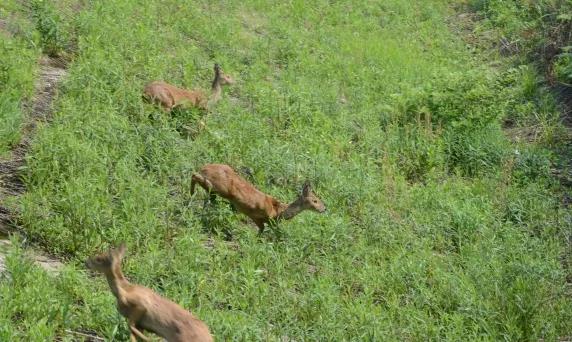 Ͳ,Ͳ,Ͳ,ʱ,,ͲǮ,Ͳ,Ͳ