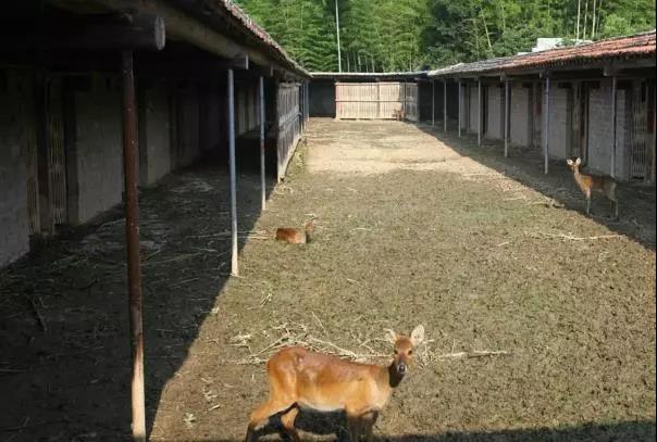 Ͳ,Ͳ,Ͳ,ʱ,,ͲǮ,Ͳ,Ͳ