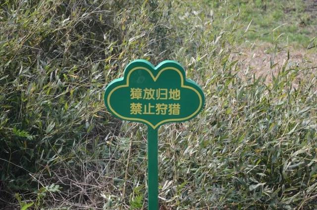 Ͳ,Ͳ,Ͳ,ʱ,,ͲǮ,Ͳ,Ͳ