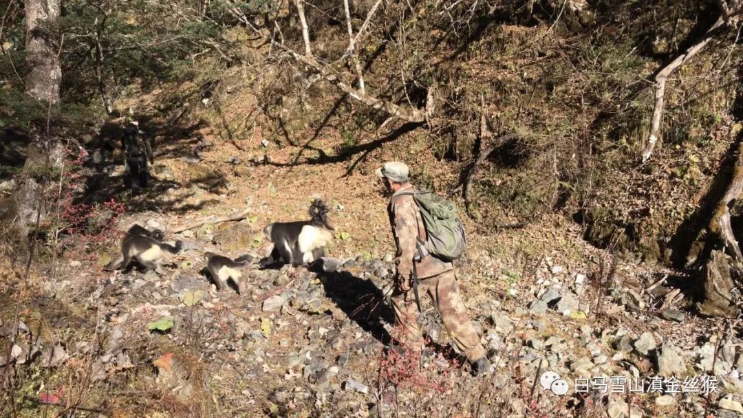 Ͳ,Ͳ,Ͳ,ʱ,,ͲǮ,Ͳ,Ͳ