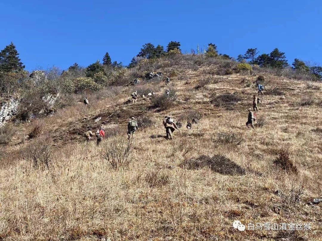 Ͳ,Ͳ,Ͳ,ʱ,,ͲǮ,Ͳ,Ͳ