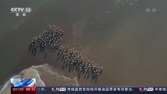 ¾ÅÖÝkuÓιÙÍø,ºþÄÏÒ°Éú¶¯Îï×·×Ù,ºþÄÏÎÀÐÇ×·×ÙÆ÷,ºþÄÏ×·×ÙÆ÷ ¾ÅÖÝkuÓιÙÍø,ºþÄÏÒ°Éú¶¯Îï×·×Ù,ºþÄÏÎÀÐÇ×·×ÙÆ÷,ºþÄÏ×·×ÙÆ÷